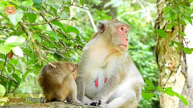 Janna Beg Jane for Milk While Jane React With Sensitive Manner смотреть онлайн