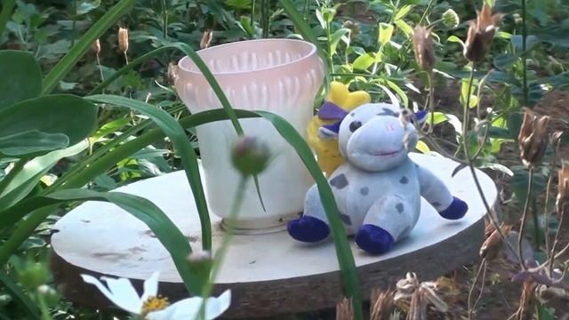 Ландшафтный дизайн в Коломне смотреть онлайн