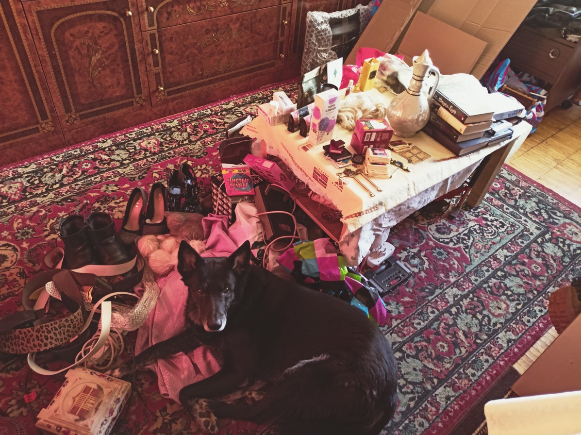 Как я зарабатываю лазия по мусаркам Москвы смотреть онлайн