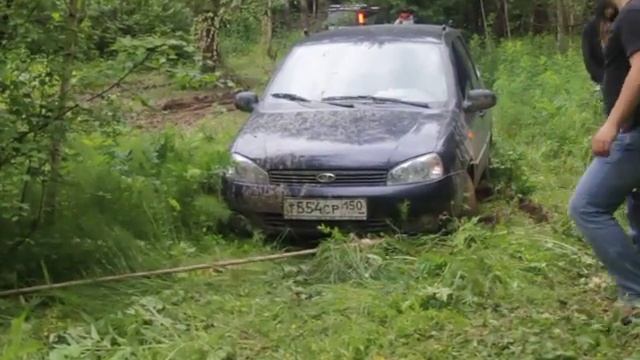 Лесную Калину "вынесли из лесу почти на руках" смотреть онлайн