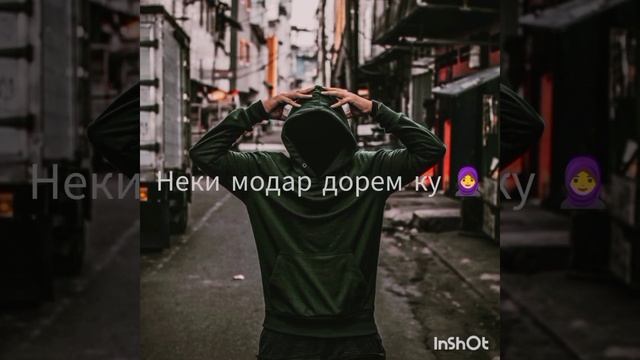 Shnaps Aka Rohati.  Басай?