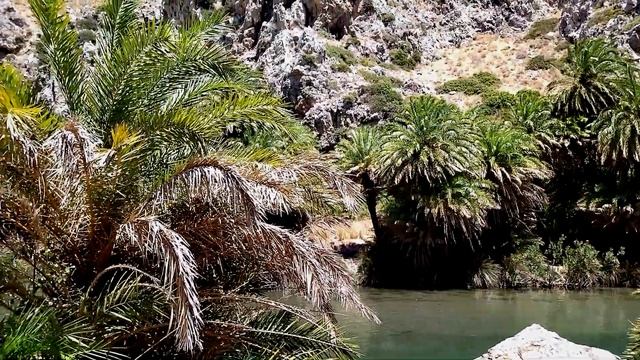 Пальмовый лес Превели. Preveli Palm Forest. - Клуб путешествий смотреть онлайн