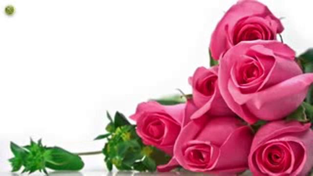 Баракат в богобоязненной девушке смотреть онлайн