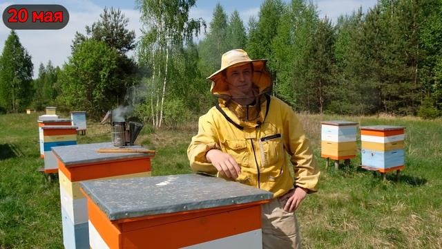 Кашковский, Пасека Лаврова и свищевые матки. Разбираемся, почему у НАС не получилось. Часть 2. смотреть онлайн