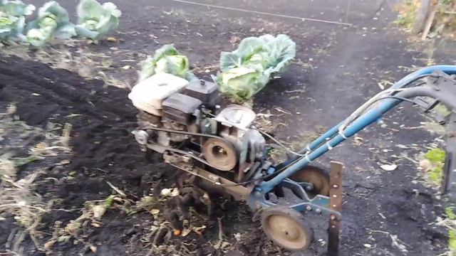 Переделанный Крот! Почти мотоблок получился.