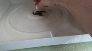 Как поменять двигатель микроволновки