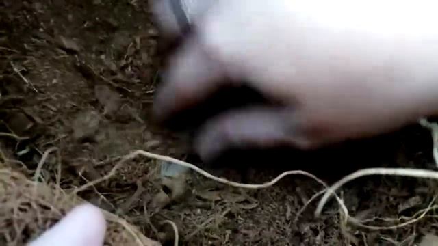 Странная штуковина, волокном наполнена. Нужен нам такой объект? Производит Cocoland. смотреть онлайн