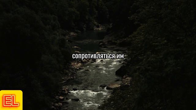 Притча:О жизни смотреть онлайн