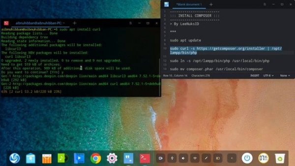 Install Composer Linux | Deepin OS Edition
