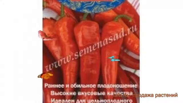 Перец сладкий Красное копье (krasnoe kope) ? обзор: как сажать, семена перца Красное копье смотреть онлайн