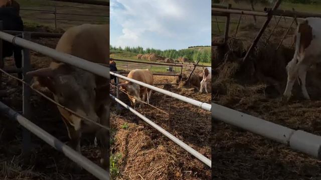 Что изменилось через 4 месяца смотреть онлайн