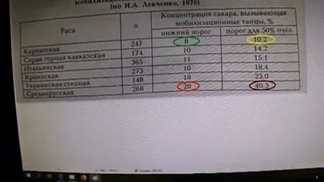 какую выбрать породу пчел, чтобы мед хорошо носила смотреть онлайн