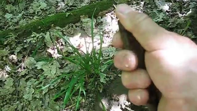 Поиск кладов. Три кума. Скифские наконечники. смотреть онлайн