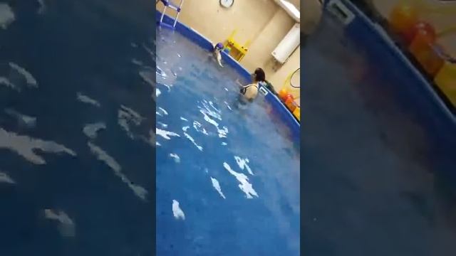 Оздоровительный центр "БэбиБум" смотреть онлайн