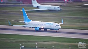 Самолетам сесть надо, а птицы с ума посходили. Что творится в Сочи.