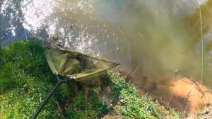 Ловля форели на Тирольскую Палочку