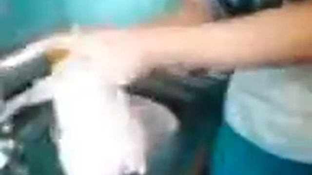 Курица танцует.mp4 смотреть онлайн