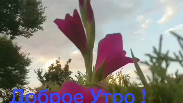Очень правильно сказано о жизни смотреть онлайн