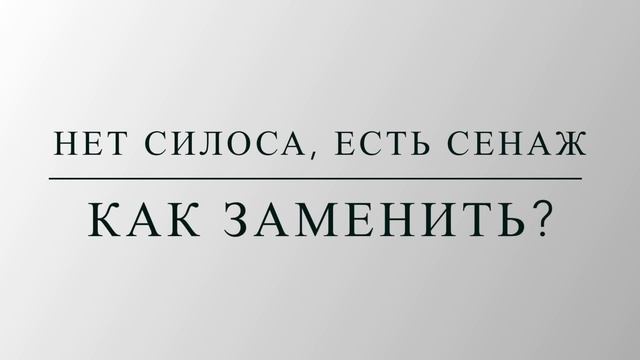 Как сбалансировать рацион из того, что есть? смотреть онлайн