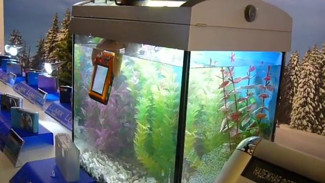 Panasonic Lumix FT2: влагостойкий, защищенный фотоаппарат смотреть онлайн