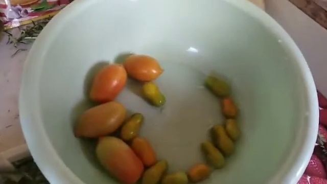 Жизнь на даче# Консервирование помидор## смотреть онлайн