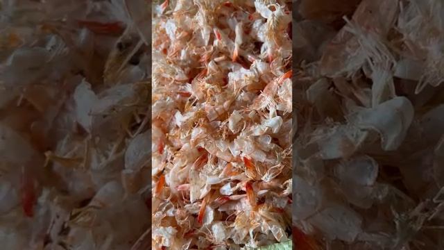 Dried Shrimp Shell for chitin/chitosan 0084947900124 смотреть онлайн