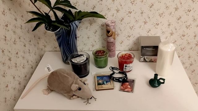 Влог: поездка в Новосибирск, день 2, продолжение