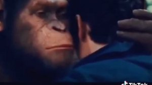 Планета обезьян///прикол