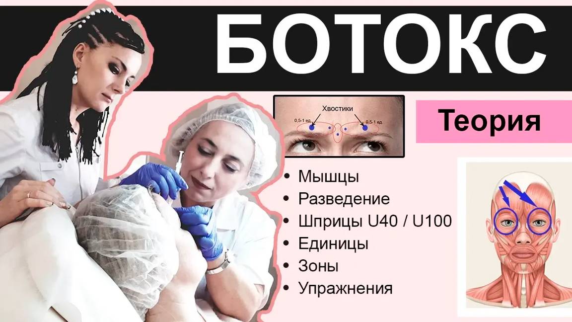 Теория БОТОКС ОТ А ДО Я / мышцы, разведение, единицы, зоны, упражнения, схемы смотреть онлайн