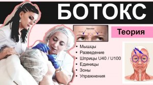 Теория БОТОКС ОТ А ДО Я / мышцы, разведение, единицы, зоны, упражнения, схемы