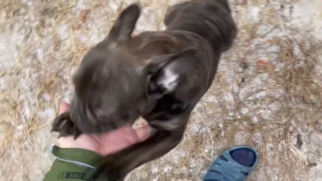 СОСЕДКА НИКАК не ХОЧЕТ ДРУЖИТЬ с НАМИ смотреть онлайн