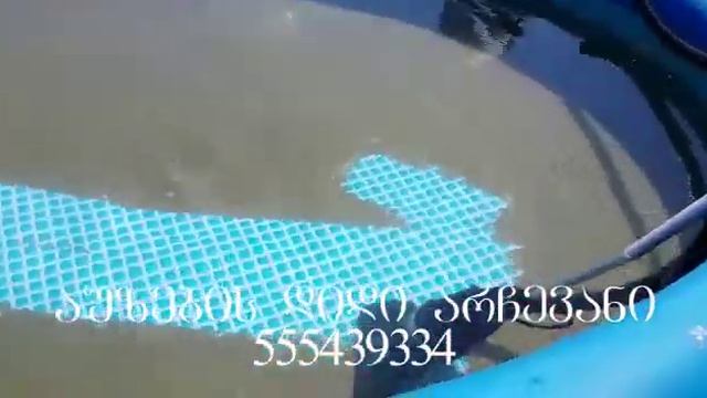 მტვერსასრუტი პილესოსი(pilesosi) 555439334 смотреть онлайн
