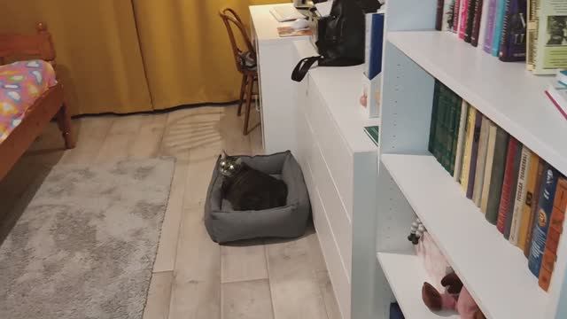 Бюджетный косметический ремонт небольшой комнаты. Итоговый обзор. 21032023. Часть 8.