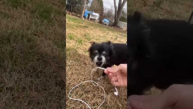 Это ещё что такое смотреть онлайн