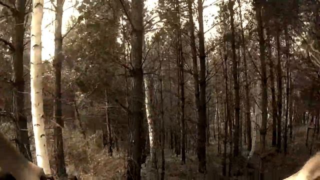 Трэйл "blue stream" с грудной камеры смотреть онлайн