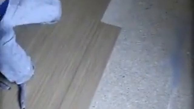 Dekorativni PVC смотреть онлайн