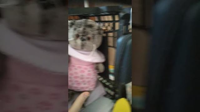 Рум Тур домика басиков. смотреть онлайн