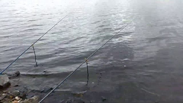 Рыбалка на телескопическую удочку с берега. Верхне-Сысертское водохранилище 2021 год. смотреть онлайн