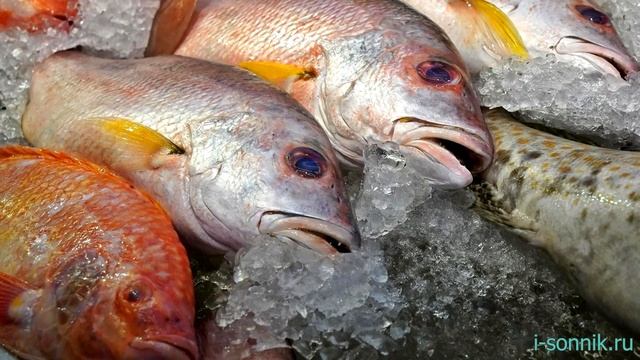 Покупать рыбу - толкование сонника смотреть онлайн