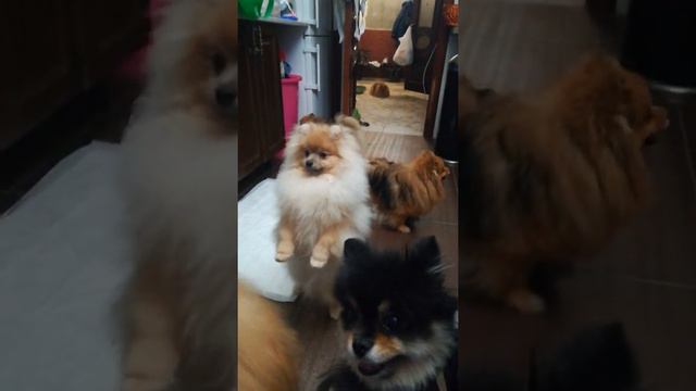 Скучно дома не бывает смотреть онлайн