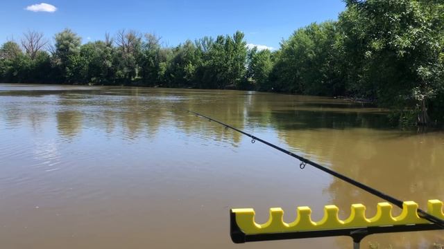ТОЧНО БУДУ КАЙФОВАТЬ / РЫБАЛКА НА ДИКОЙ РЕКЕ смотреть онлайн