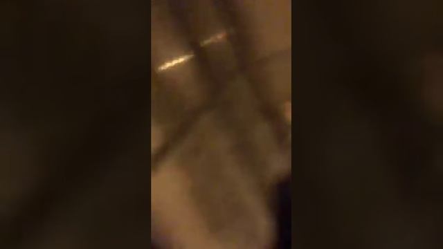 Тэо Эдуард в Перикопе | 12.12.2016 смотреть онлайн