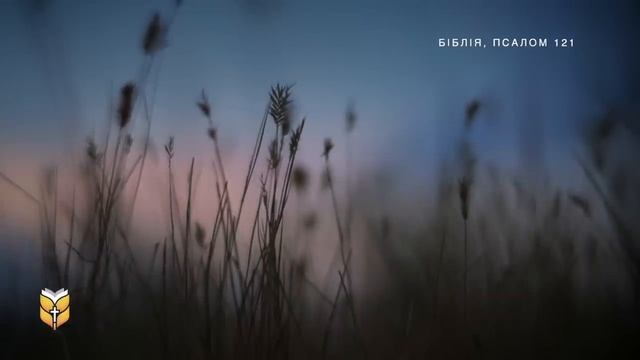 Псалми та Притчі під звуки природи. Біблійний релакс #Біблія Сучасний переклад українською смотреть онлайн