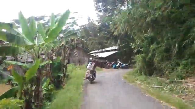 Motorcycle taxi, logging operation, bamboo suspension bridge, Java Sept 2013 смотреть онлайн