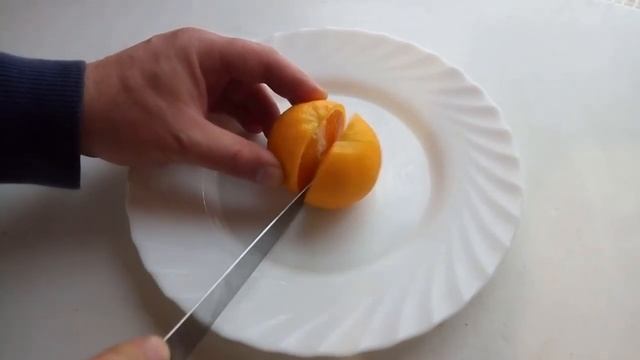 Необычный первый плод апельсина Sanguinello moscato nucellare смотреть онлайн