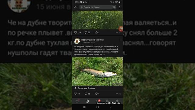 РЕКА ДУБНА УМИРАЕТ 2020 смотреть онлайн