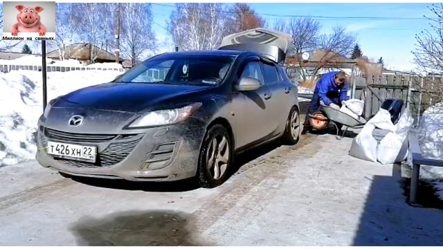 Миллион на свиньях.Готовимся к пополнению необычных свиней! смотреть онлайн