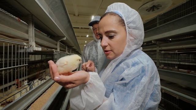 Программа "Хлеба и зрелищ", выпуск от 19 сентября 2022 года смотреть онлайн