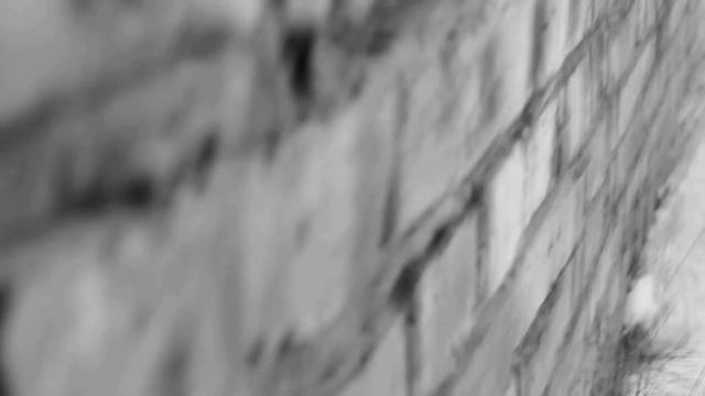 Кошки любят играть с едой, 5,4,3,2,1, я нашел тебя сейчас