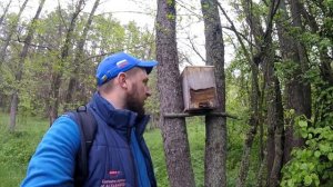 Ловушки на пчёл, как и куда их поставить...